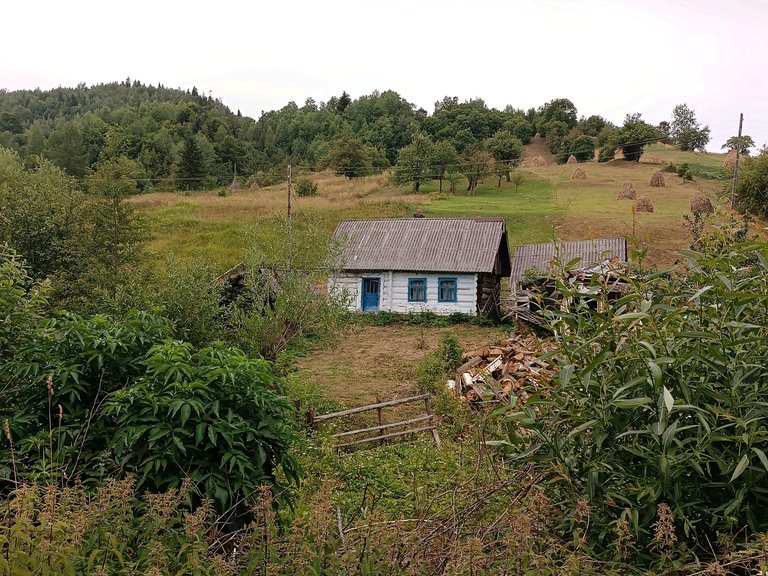 IMG_20221129_003559.jpg