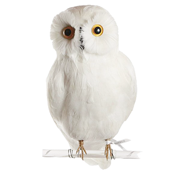 owl-xta.png
