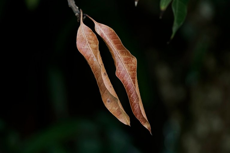 $1