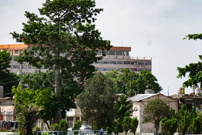 _DSC1878 copia.jpg