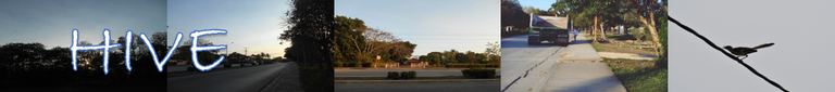 lindapa.png