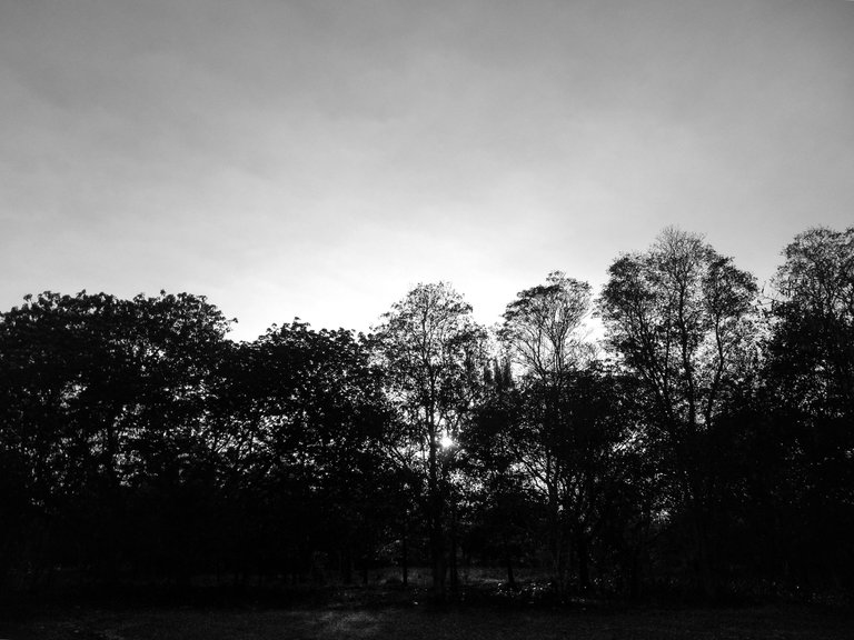 DSCN0113 copia1.jpg