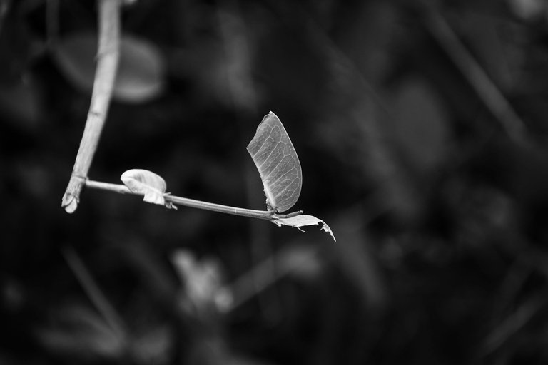 DSC_5730 copia.jpg