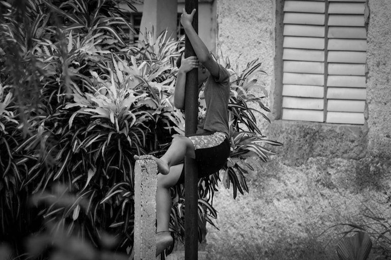 DSC_5109 copia.jpg