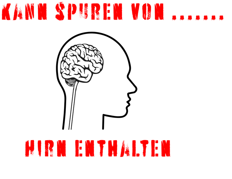 kann_spuren_von_hirn.png