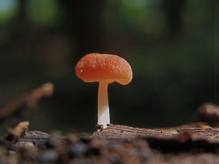 IMG20220902153014.jpg