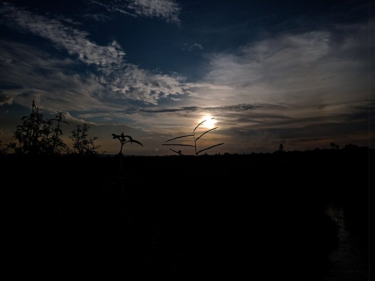 IMG20230713181200.jpg