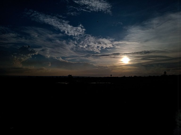 IMG20230713181146.jpg
