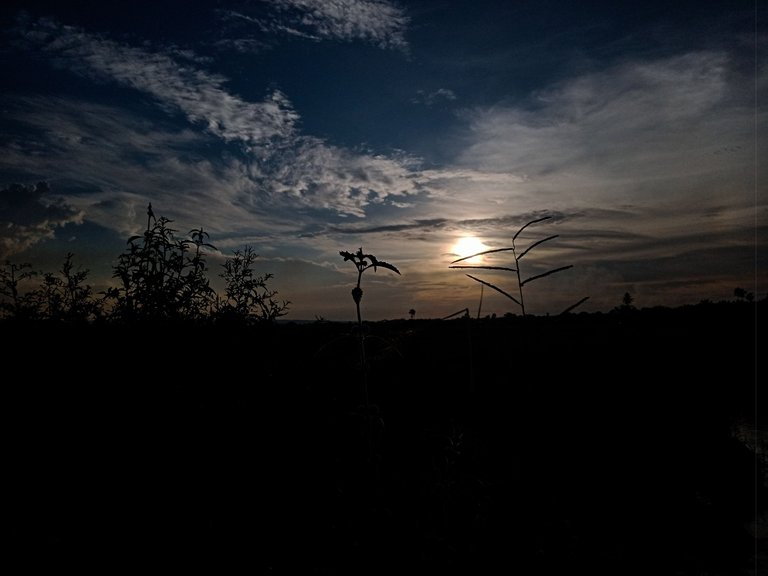 IMG20230713181203.jpg