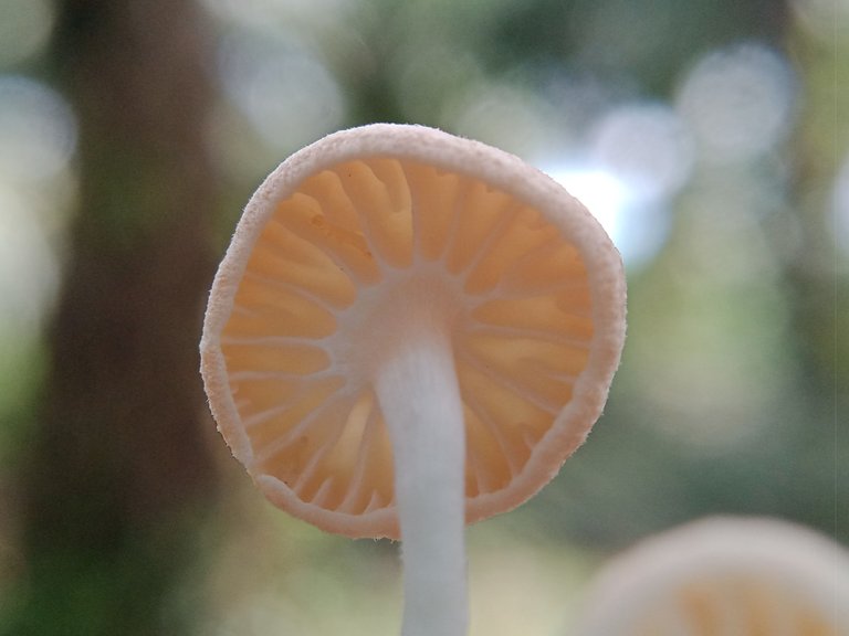 IMG20220902152452.jpg