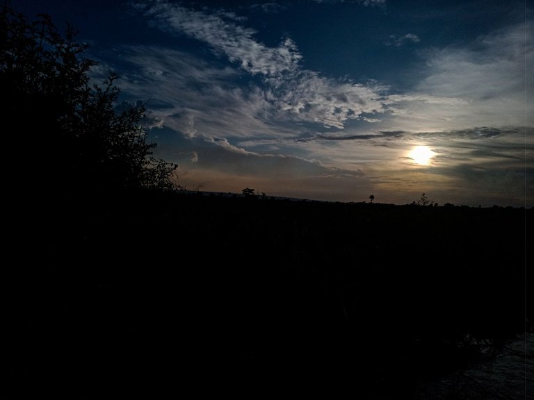 IMG20230713181217.jpg