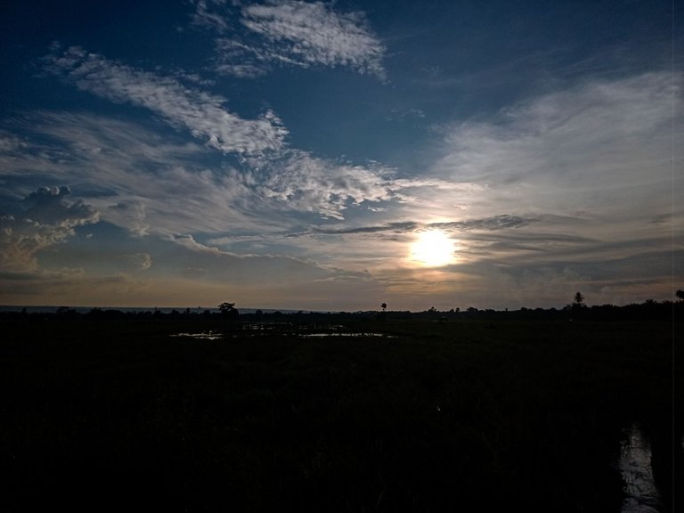 IMG20230713181134.jpg