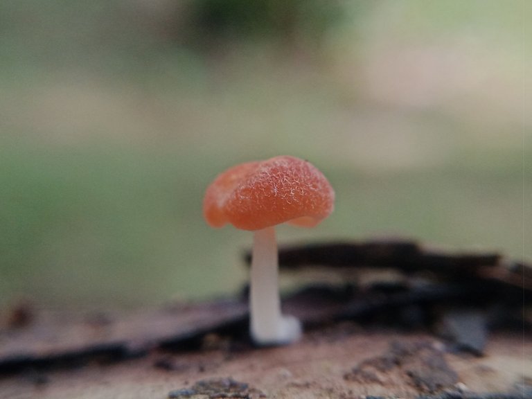 IMG20220902152723.jpg