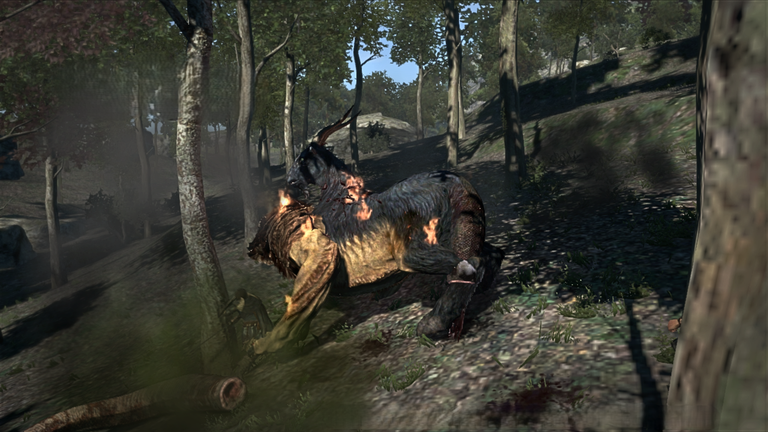 Dragon’s Dogma_ Dark Arisen 6_1_2025 5_14_19 p. m..png