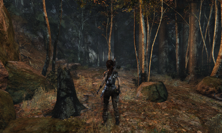 Tomb Raider 27_7_2024 1_13_09 p. m..png