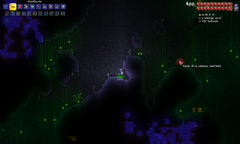 Terraria_ No hay vacas 14_11_2024 11_24_35 a. m..png