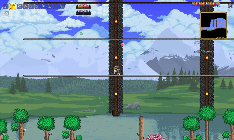 Terraria_ La hierba es más verde por este lado 5_11_2024 4_26_47 p. m..png