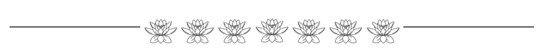 Lotus line border.png