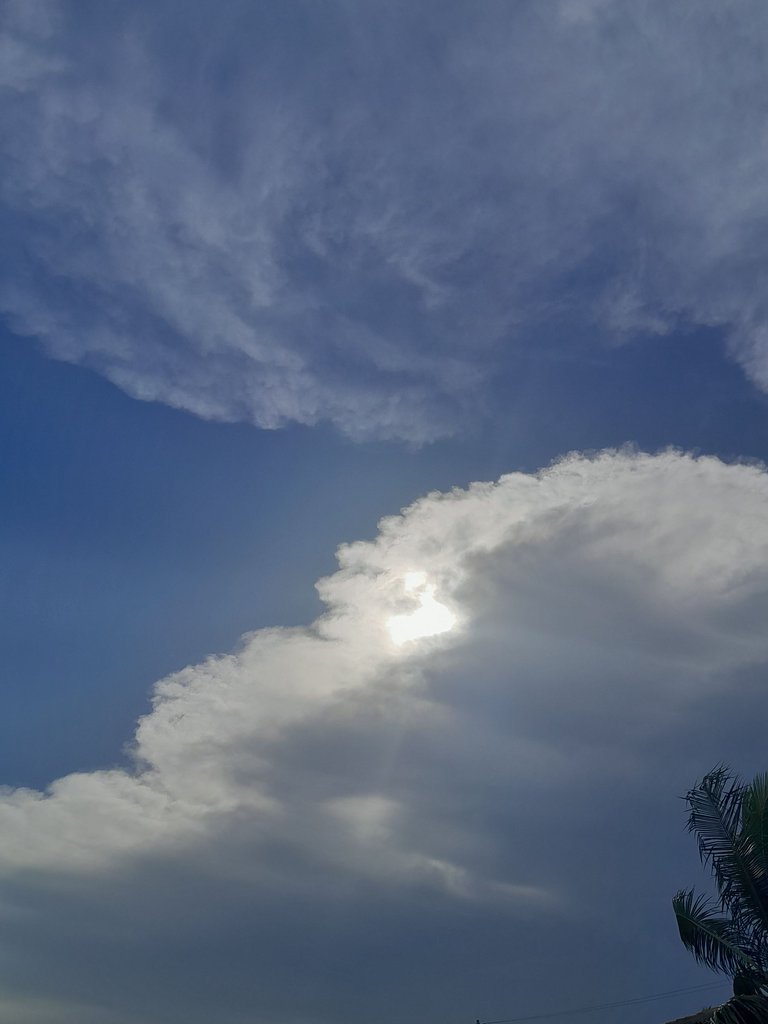 20230808_174747.jpg