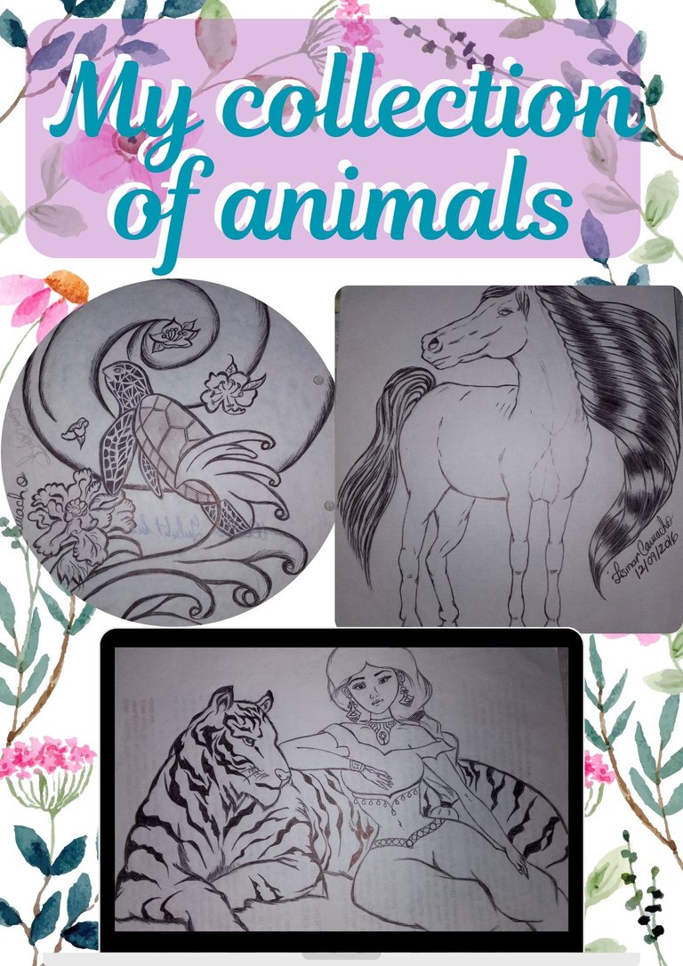  My collection of animal drawings  made by me | Mi colección de dibujos de animales hechos por mi.