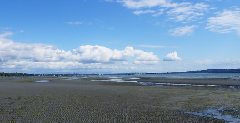WR Beach01.jpg