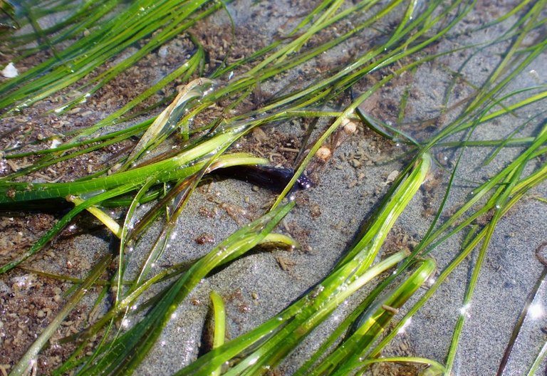 WR Beach06.jpg