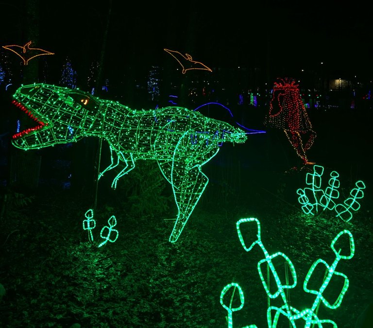 Lake_Christmas_LightsPXL_20241222_024559312.jpg