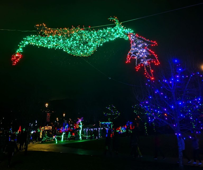Lake_Christmas_LightsPXL_20241222_023737481.MP.jpg