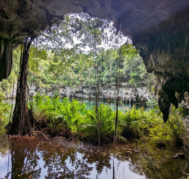 Lake_DR04.jpg