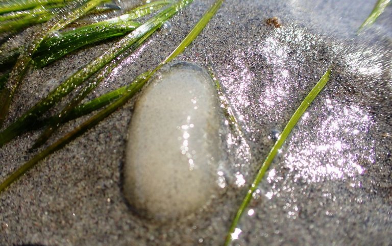 WR Beach17.jpg