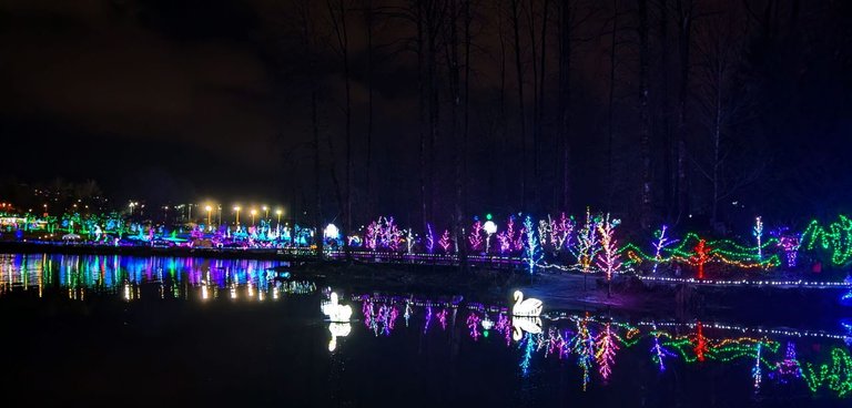 Lake_Christmas_LightsPXL_20241222_021420800.NIGHT.jpg