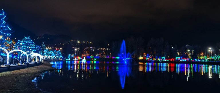 Lake_Christmas_LightsPXL_20241222_021427888.NIGHT.jpg