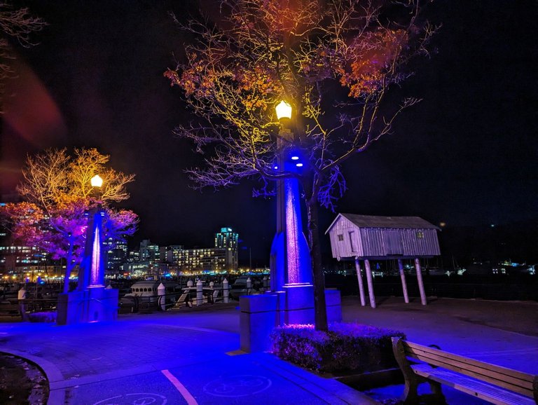 City_Lights_Christmas0014.jpg