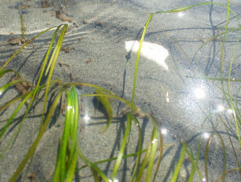WR Beach10.jpg