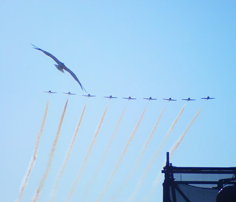 Airplane Show Set 208.jpg
