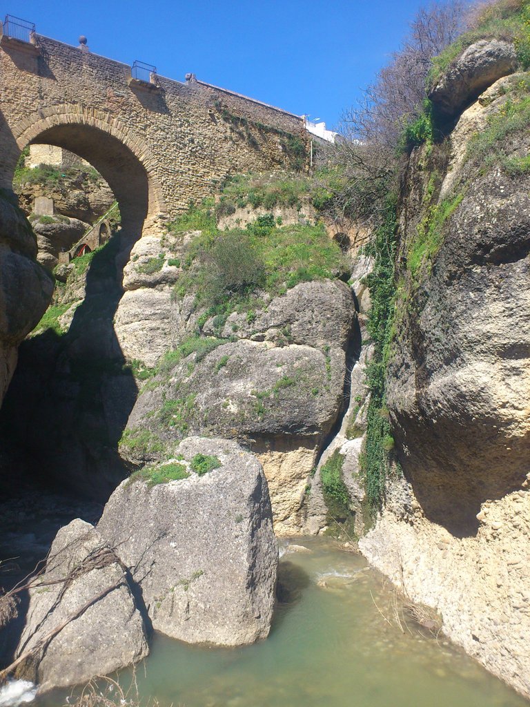DSC_1015.JPG