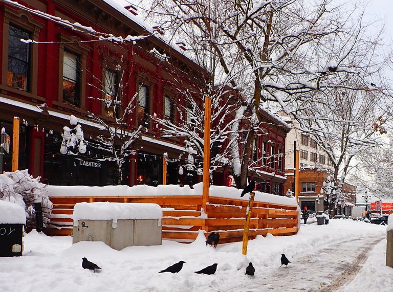 Winter_Storm_2022_s40005.jpg