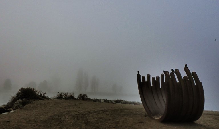 Fog_West_End0014.jpg