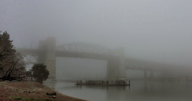 Fog_West_End0012.jpg