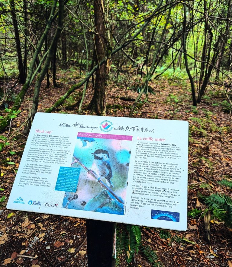 Trail_SignsPXL_20240930_225104324.jpg