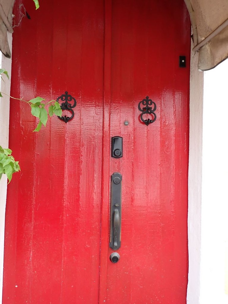 Red Door.jpg