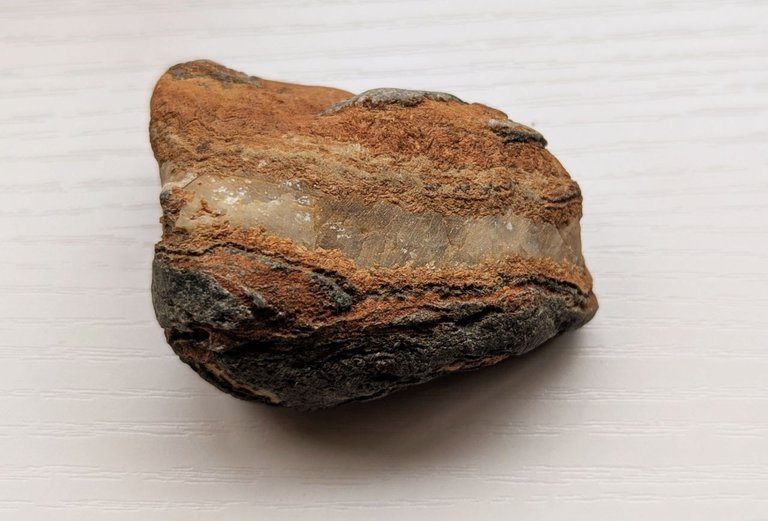 rock_dinosaur.jpg