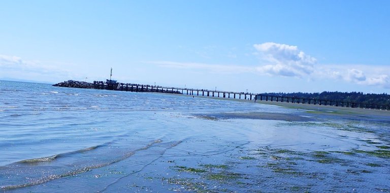 WR Beach03.jpg
