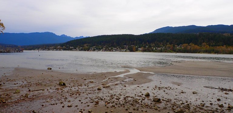 Burnaby TrailP9300008.jpg