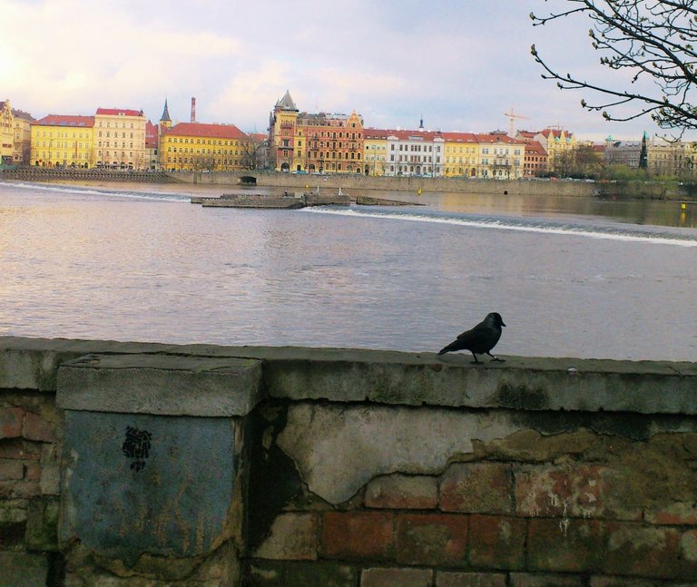 Prague Old City11.jpg
