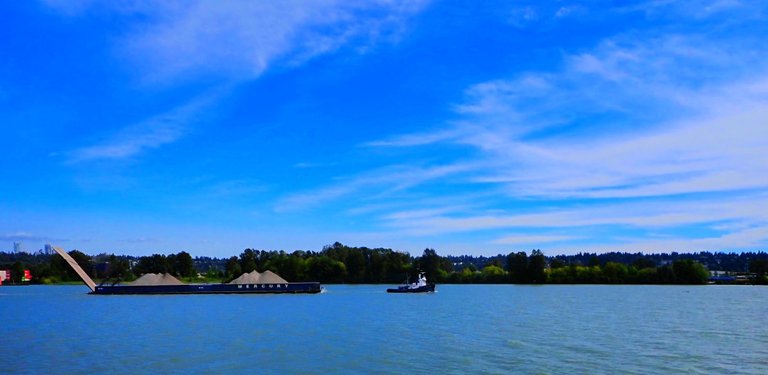 NewWestFraser0003.jpg