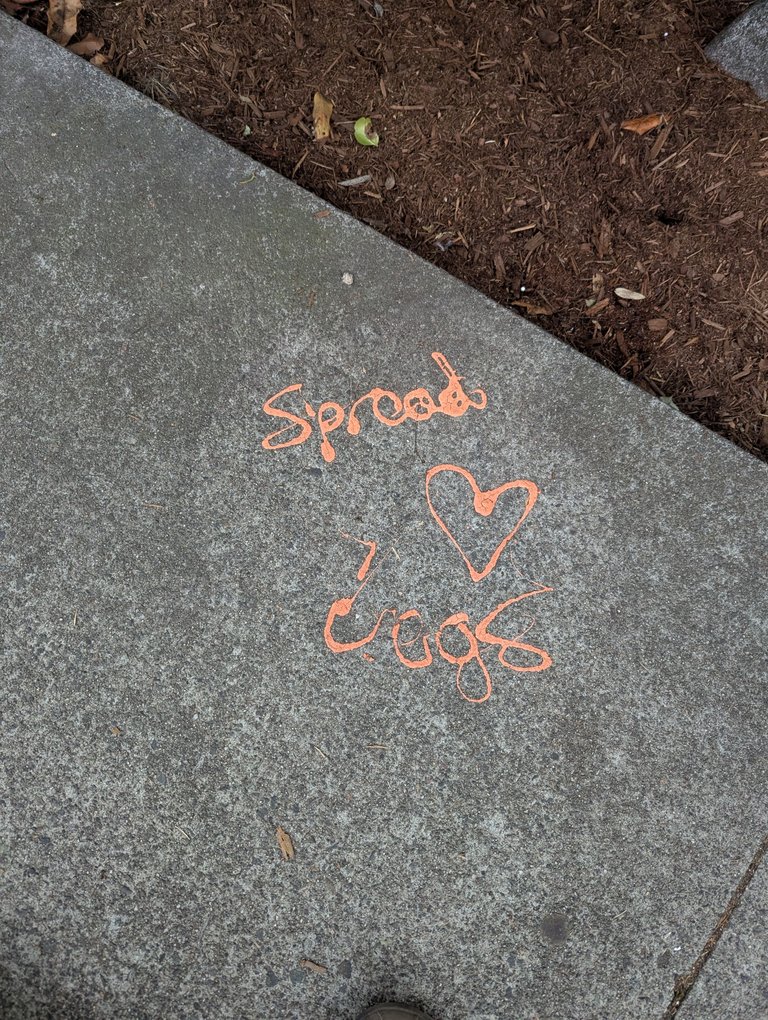 1000006385.jpg