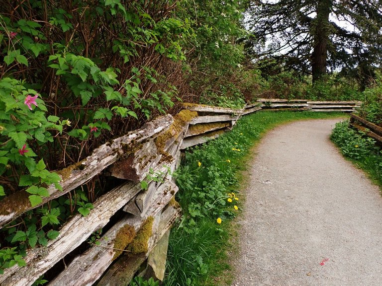 Path.jpg