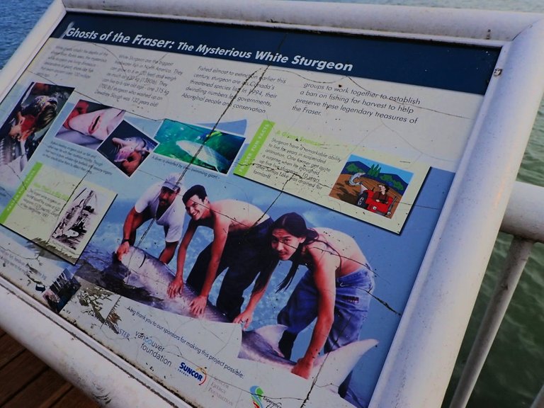 NewWestSummer220019.jpg