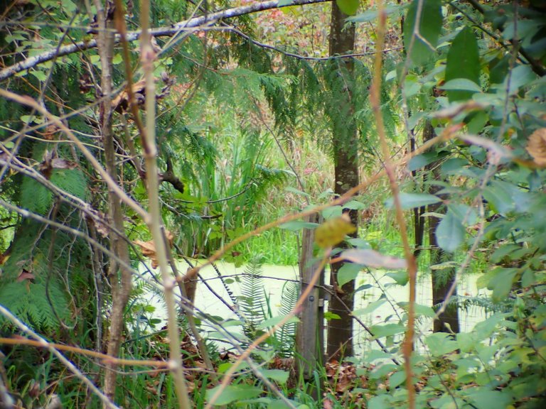 Hiking09.jpg